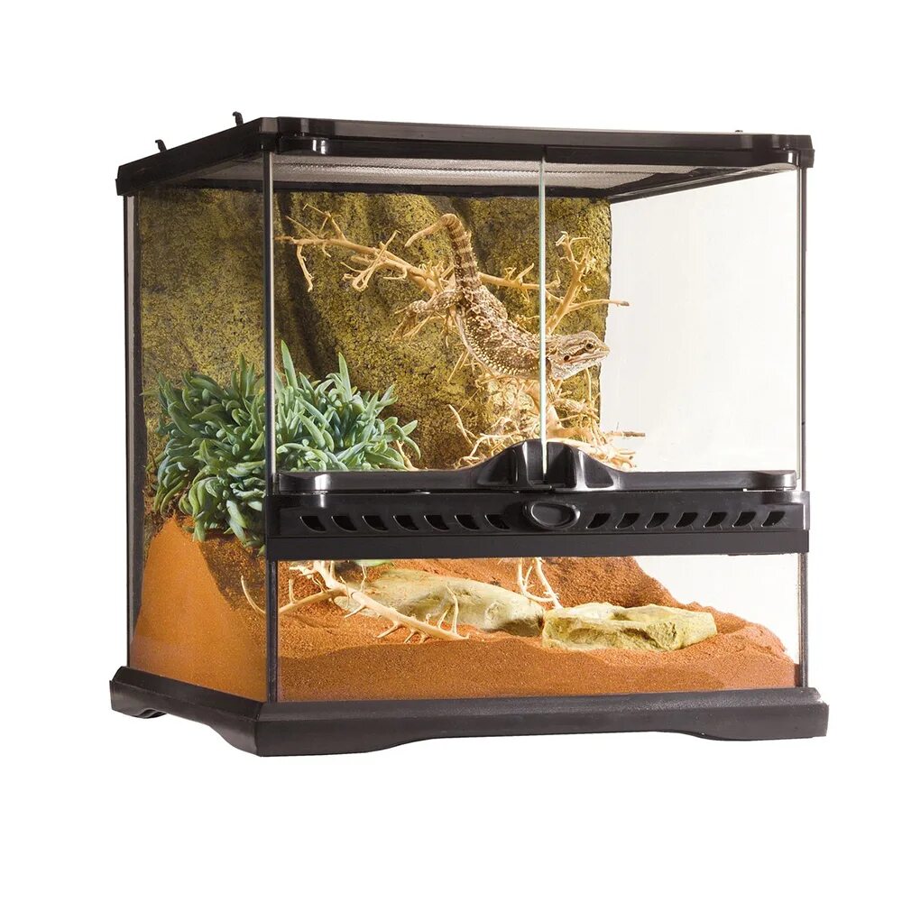 Вертикальный террариум. Террариум для сухопутных черепах. Terrarium scene. Террариум 120х60х60. Палюдариум кайман.
