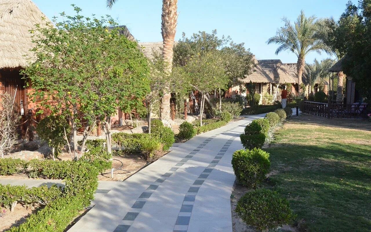 Бунгало египет. Отель panorama bungalows resort el gouna 4. панорама бунгало резорт эль гуна. panorama bungalows el gouna 4. эль гуна египет отели с бунгало.