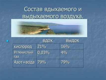 Вдыхаемый воздух кислород азот углекислый