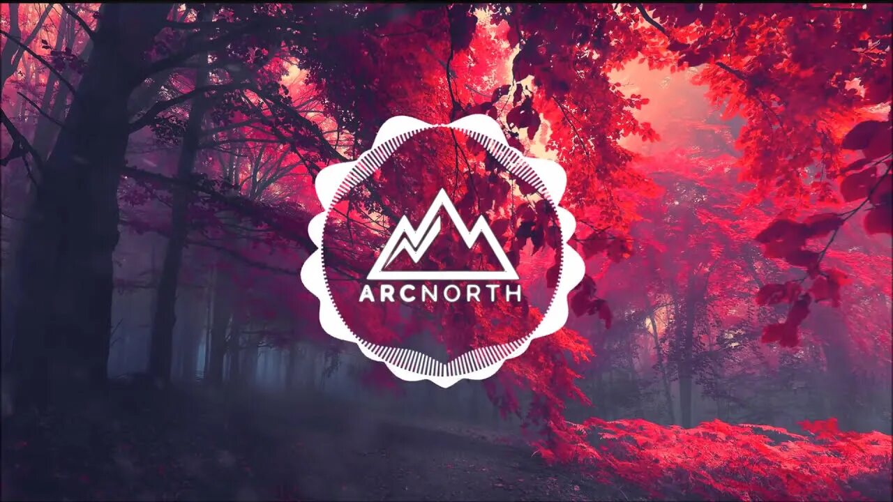 Arc north. Arc North исполнитель. North Slash. Limbo(tomillo Remix) Arc North, Veronica Bravo. Arc North Melodifest 23.