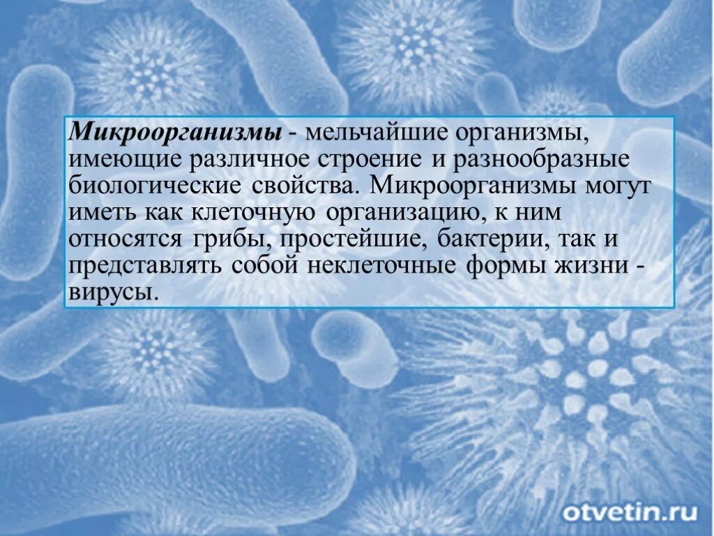 Микроорганизмы для презентации. Бактерии по микробиологии презентация. Презентация по биологии микроорганизмы. Микроорганизмы сообщение.