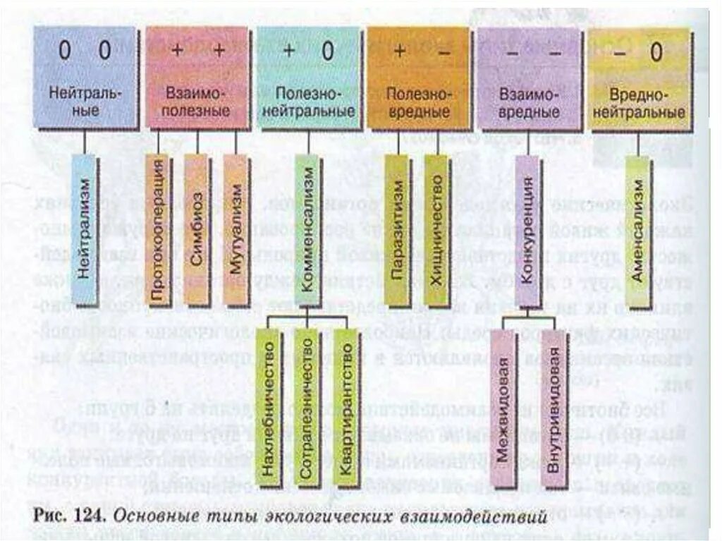 Разделите типы взаимоотношений организмов на соответствующие группы. Основные типы экологических взаимодействий таблица. Виды взаимодействия между организмами. Основные типы взаимодействия организмов. Типы отношений между организмами.