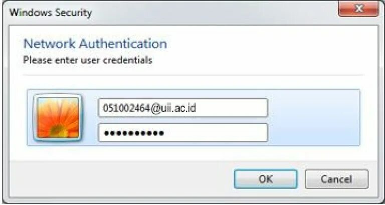 Username password authentication failed. Network authentication. безопасность windows проверка подлинности сети. network authentication picture. ввод сетевых данных логин.