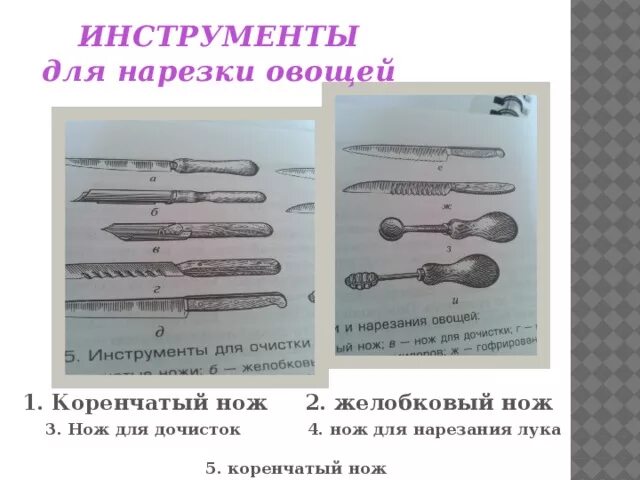 Какие приспособления используют при нарезке овощей. Инструменты и приспособления для нарезки овощей. инструменты применяемые для нарезки овощей. коренчатый и желобковый нож. желобковый нож для овощей.