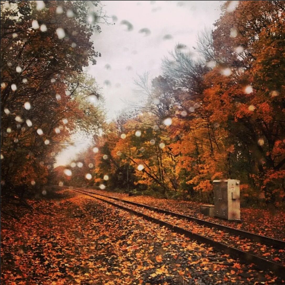 Холодная осень части. Холодная осень Эстетика. Осень дождь. Атмосферная осень. Осенний холод.