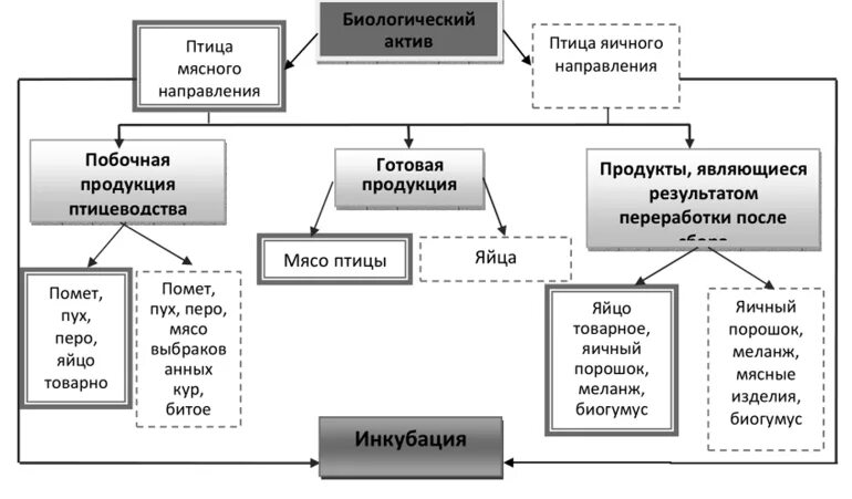 Примеры биологических активов. Учет и классификация биологических активов.. МСФО сельское хозяйство. Оценка биологических активов. Учет биологических активов