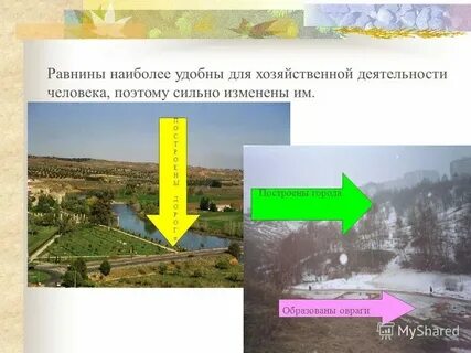 Почему метр называют метром