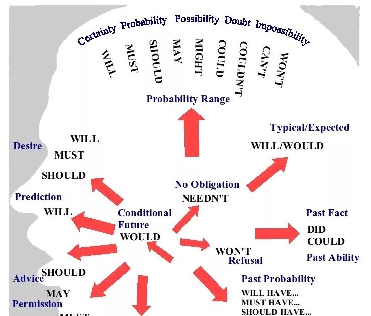 Probability Модальные глаголы. Possibility probability Модальные глаголы. Модальные глаголы в английском ability. Модальные глаголы в past. Adverbs of possibility