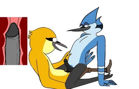 lifeseeker, mordecai, regular show, anal, anal sex, anthro, anthro on anthr...