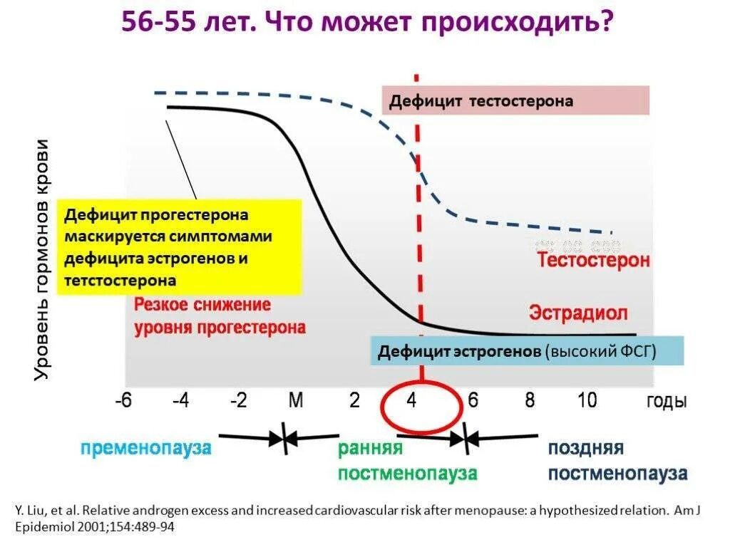 Уровень эстрогенов у мужчин. Уровень тестостерона и эстрогена у женщин. уровень женских половых гормонов. низкий уровень половых гормонов. снижение уровня эстрогенов.