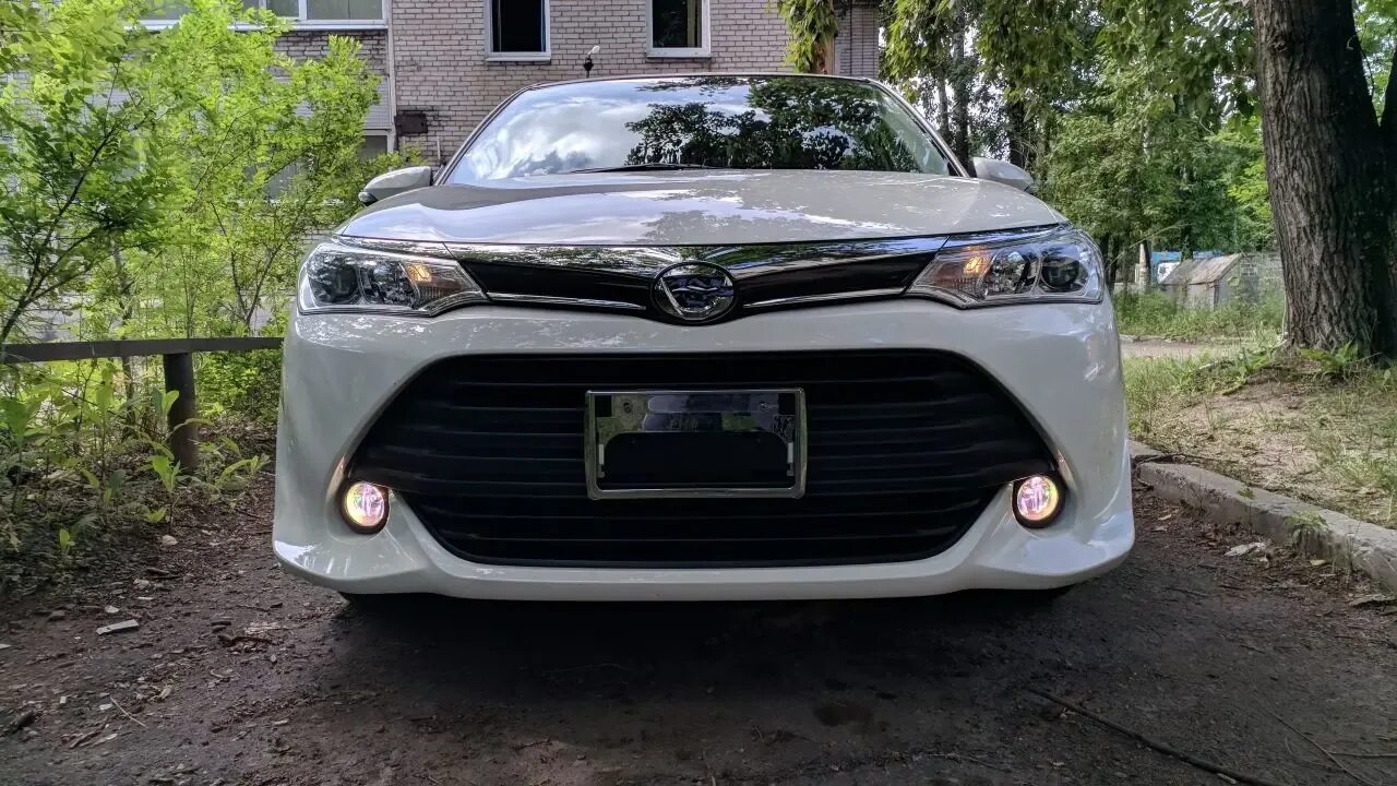 Тойота филдер противотуманные фары. Toyota Corolla Fielder 2016 ПТФ. ПТФ Тойота Королла 2016. Тойота Королла Фиелдер 160 ПТФ. Тойота Филдер 2016.