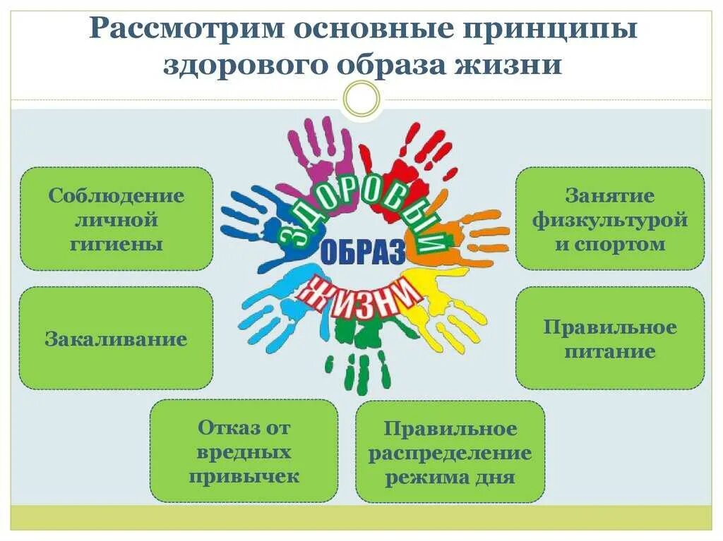 Основные здорового образа жизни. Принципы здорового образа жизни. Принцыпыздорового образа жизни. Принцып здорового образ жизни. Основные принципы ЗОЖ.