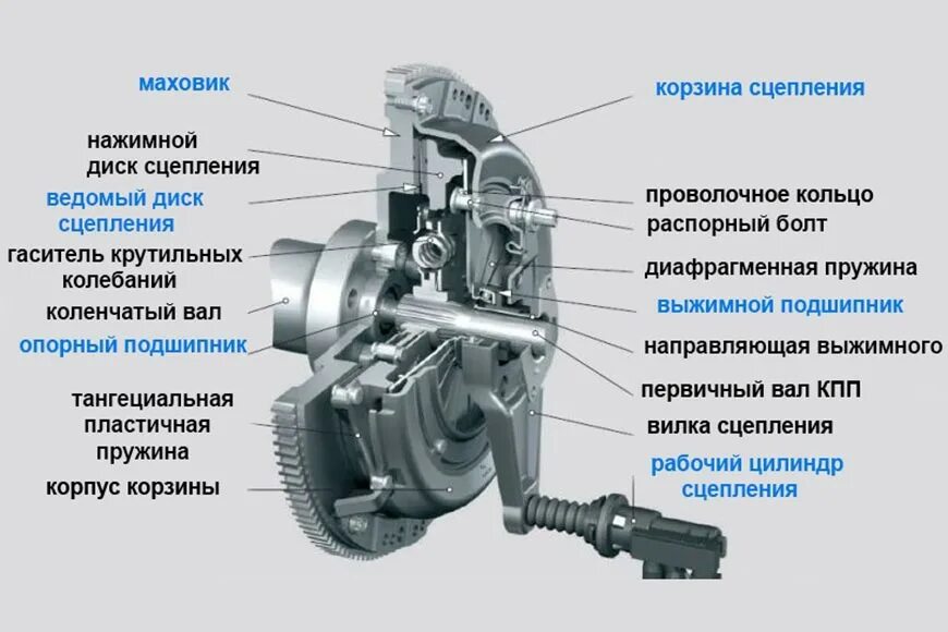 Назначение сцепления принцип работы. Основные элементы сцепления автомобиля. принцип работы сцепления. строение муфты сцепления. муфта сцепления устройство и принцип действия.
