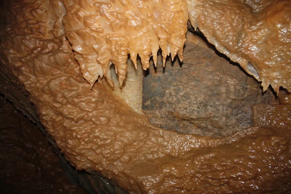 пещера полная ловушек. пещера раст. ловушки в подземельях. подземный кот. пещера ловушка.