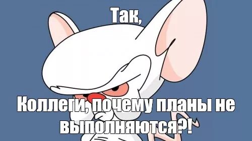 Какие захватить мир. Пинки и брейн. мышь пытается захватить мир. пинки и брейн захватить мир. пинки и брейн план.