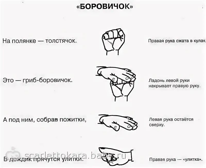 Пальчиковая гимнастика для детей ягоды