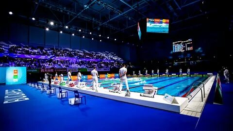 Чемпионат водных видов спорта