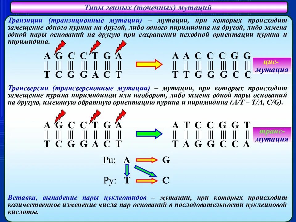 Происходит замена одного нуклеотида. Типы мутации днк. типы нуклеотидов. схема изображения генной мутации. выпадение нуклеотида вид мутации.
