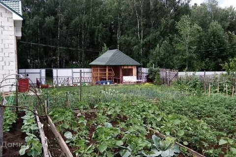 Снт лесник