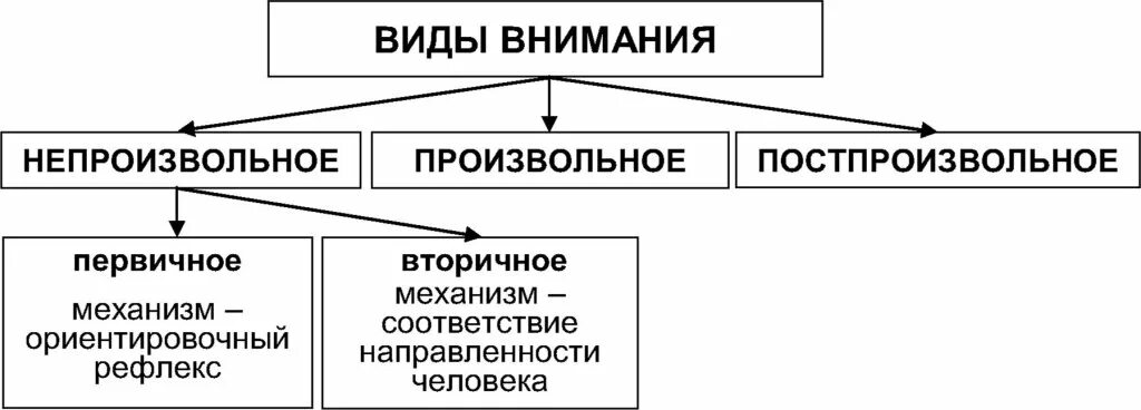 Элементы внимания. Виды внимания схема. Схема внимание в психологии. Виды внимания в психологии. Перечислите основные виды внимания.