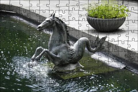 Мокрая лошадь