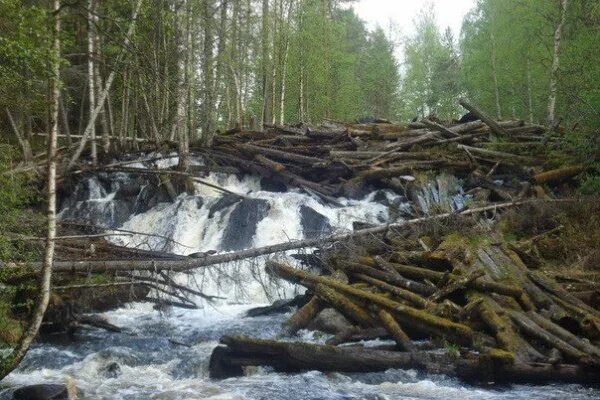 Республики 170. Водопад Пяозерский. Лукьянов ручей Кемь. Завал на реке. Вочаж Карелия.