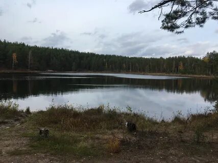 Озеро светлое нижегородская область