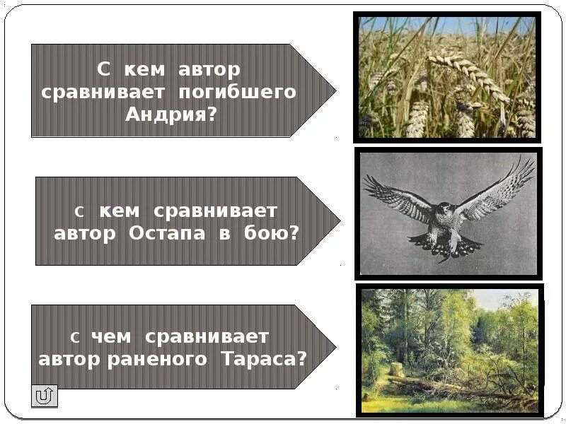 С кем сравнивает гоголь убитого тарасом андрия. С кем сравнивает гоголь остапа?. с кем сравнивает автор андрия. с кем сравнивает гоголь андрия?. с кем сравнивает остапа автор описывая его в бою.