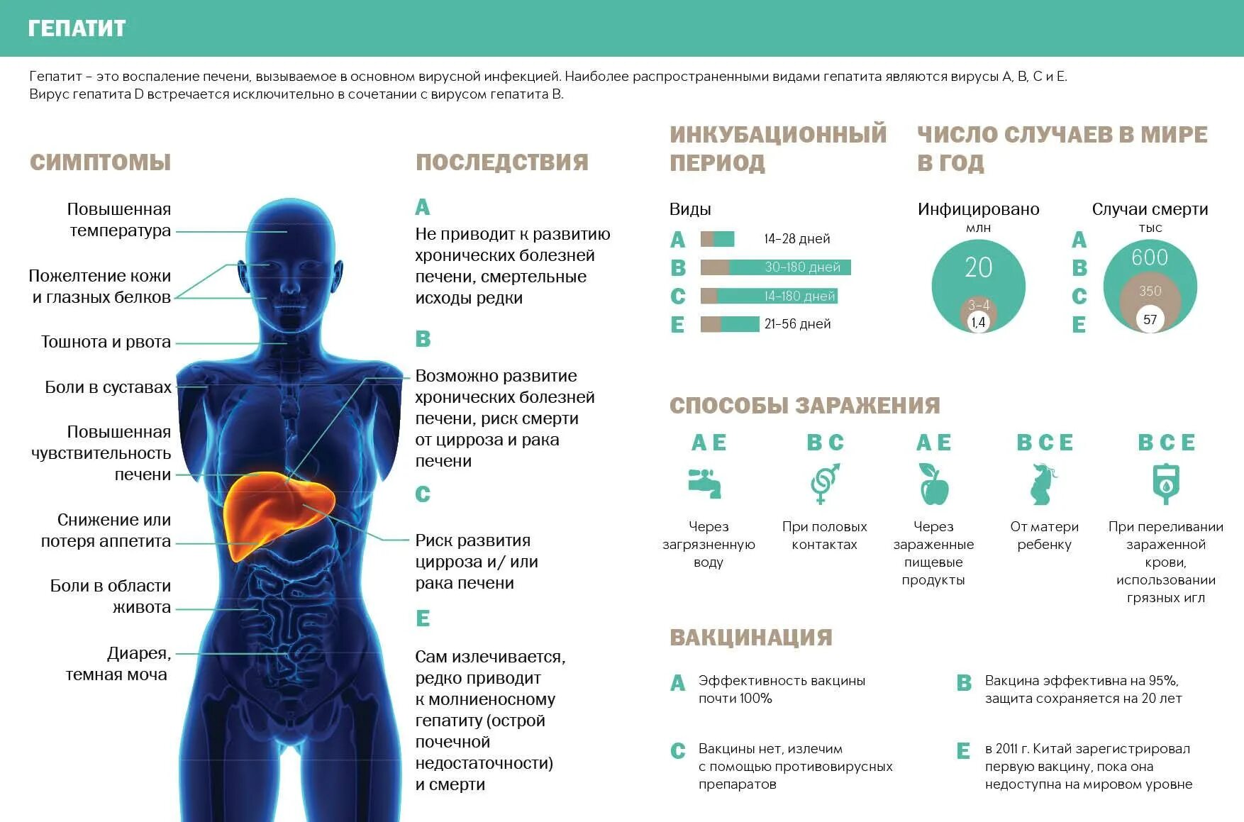 Виды вирусных гепатитов. Вирусный гепатит симптомы. Вгв гепатит