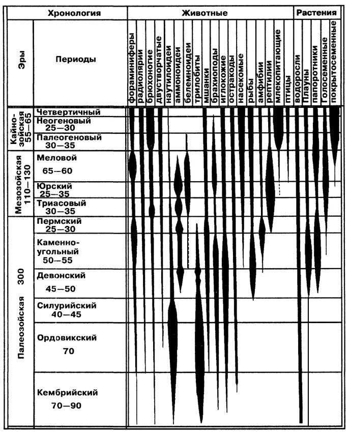 Хронология одомашнивания животных. Схема одомашнивания диких животных. Эволюция органического мира на земле таблица биология. Этапы развития животного мира схема. Геохронологическая таблица эры и периоды растения и животные.