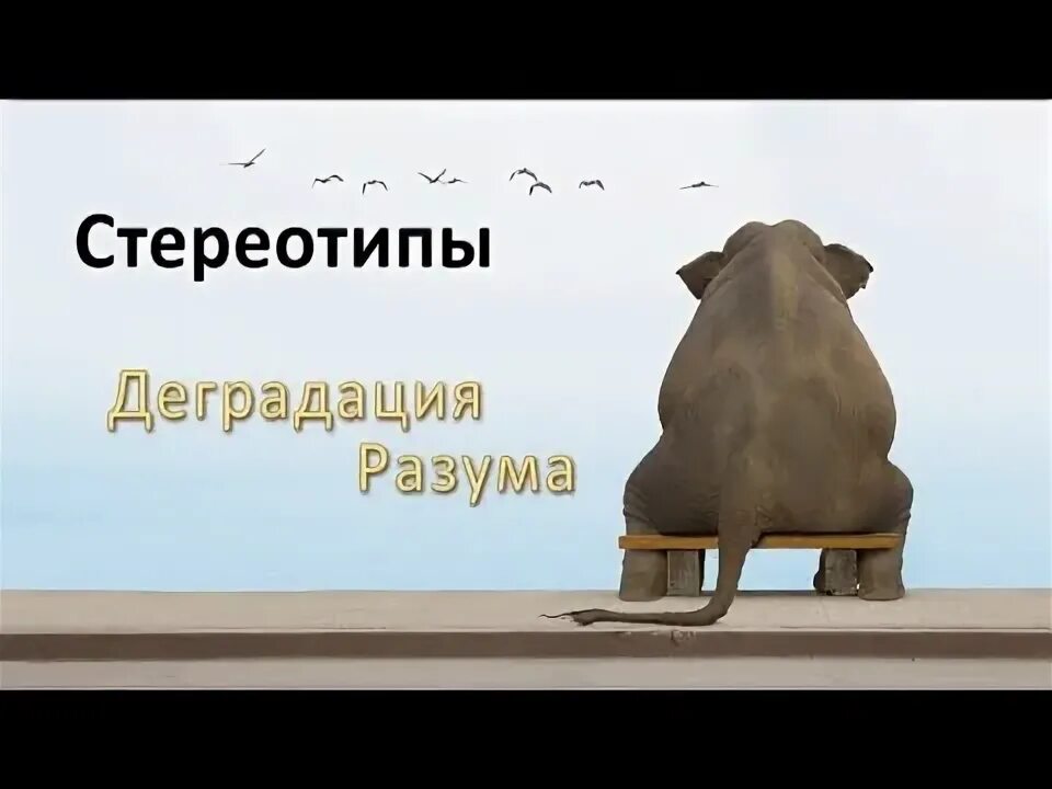 Игра стереотипы ответ. Ломай стереотипы и шаблоны. цитаты про стереотипы. ломаем стереотипы картинки. ломай стереотипы цитаты.