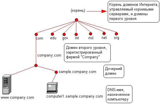 Опишите структуру доменной системы имен. Иерархическая структура DNS-серверов. Система доменных имен DNS структура. DNS доменная система имен схема. Структура доменов DNS.