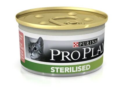 Pro plan для кошек курица