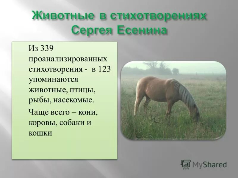 Стихотворение есенина про животных. Корова есенин текст. Стихи есенина о животных. Браьья наш. Есенин корова стих.