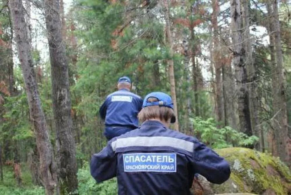 Сторож красноярский край. Спасатели в лесу. Подросток заблудился в лесу. Полиция в лесу.