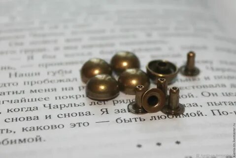 Хольнитены что это такое