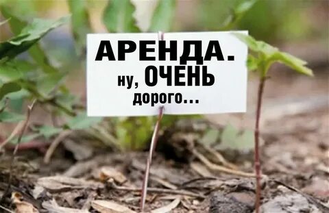 Низкая арендная плата это