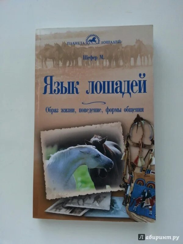 Михаэль Шефер язык лошадей. Поведение лошадей пол МАКГРИВИ. Книги про поведение лошадей на английском. Шефер м язык лошадей читать.