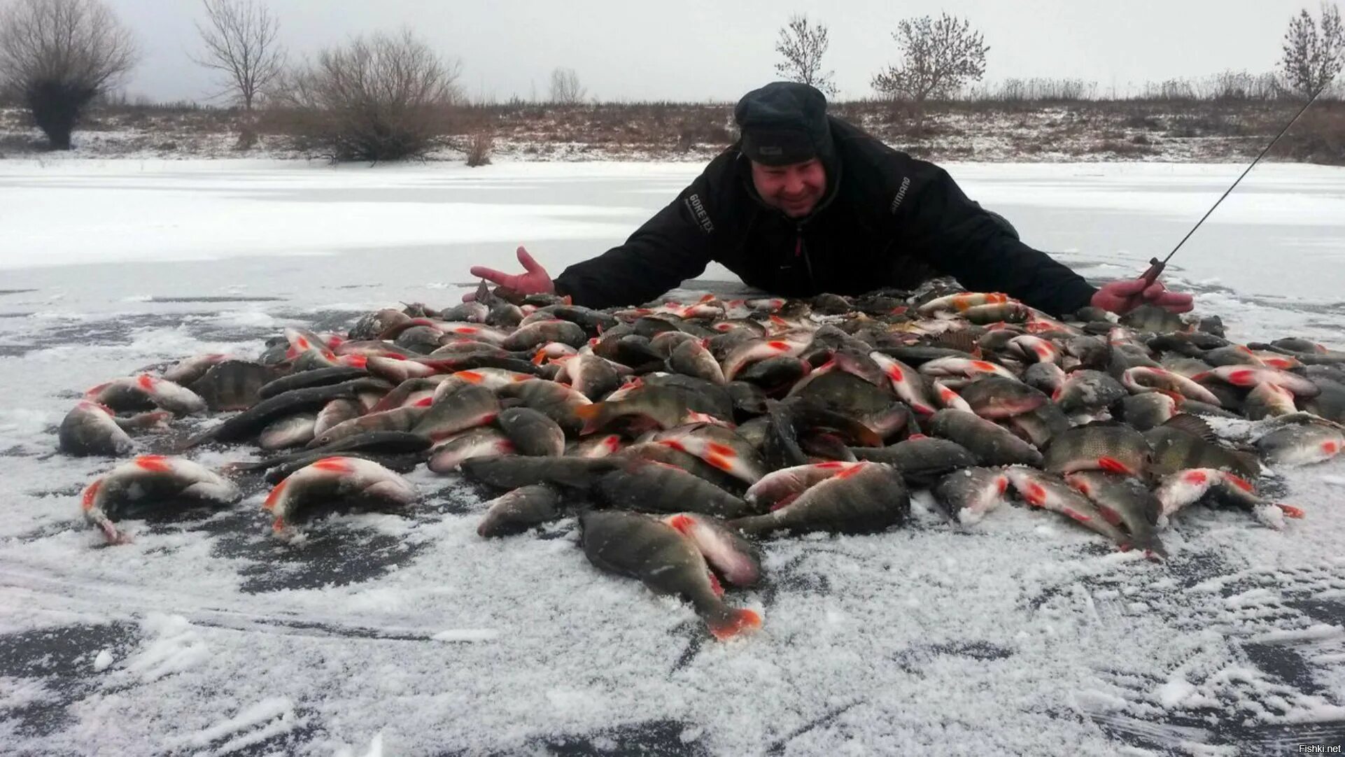 Зимняя рыбалка на озере велье новгородская область. Ловля леща зимой. Зимняя рыбалка. Рыбалка на леща зимой. Где рыба зимой.