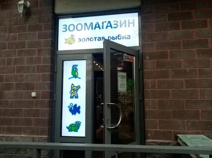 Золотая рыбка ленинградская