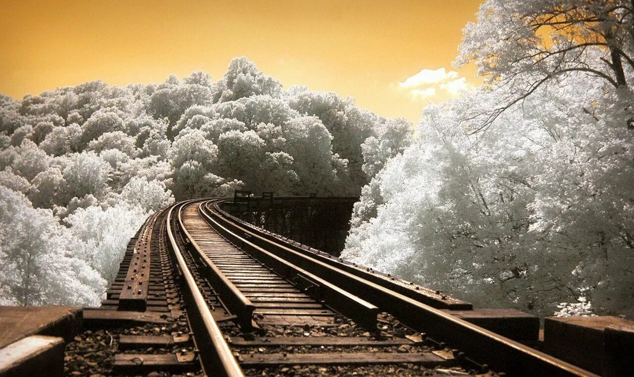 Поезд жизни уходит. Красивая железная дорога. Рельсы. ЖД пути. Рельсы вдаль.