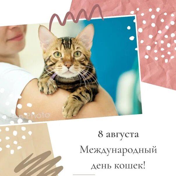 Всемирный день кошек в марте. 8августв Всемирный день кошек. День кошек 8 августа. Международный день кота 8 августа. Международный день кошек открытки.