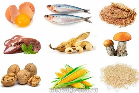H продукты