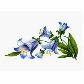Колокольчик цветок для детей