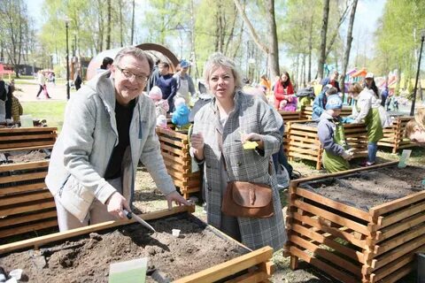 Огород подмосковья