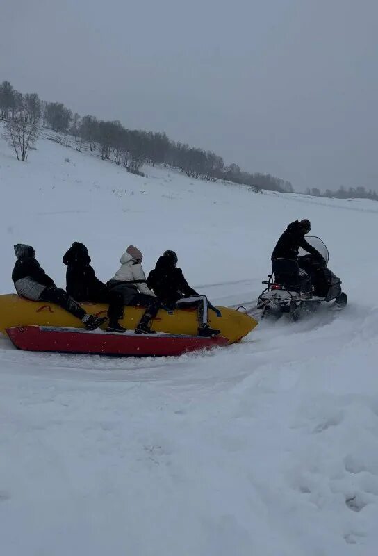 катание на снегоходе. Ski doo legend 800. лесной патруль новосибирск. лесной патруль кемерово. зимний снегоход.