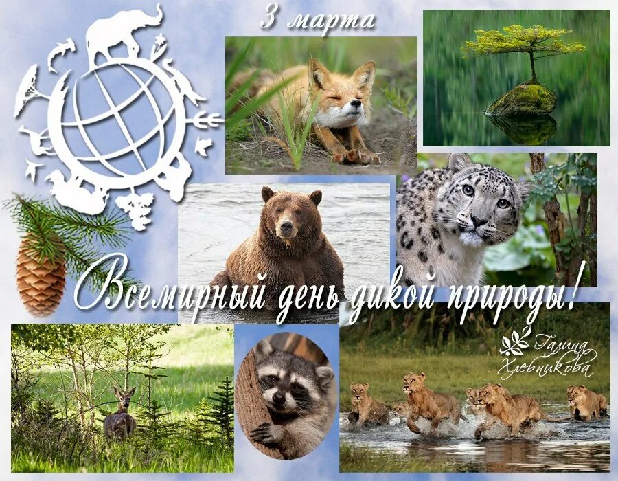 Всемирный день дикой природы картинки. Всемирный день дикой природы. Всемирныднь дикой природы. Всемирный день дикой природы в детском саду. Всемирный день дикой природы плакаты.