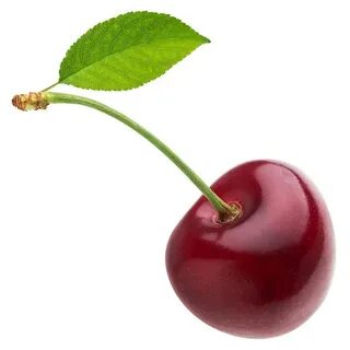 Первая вишня