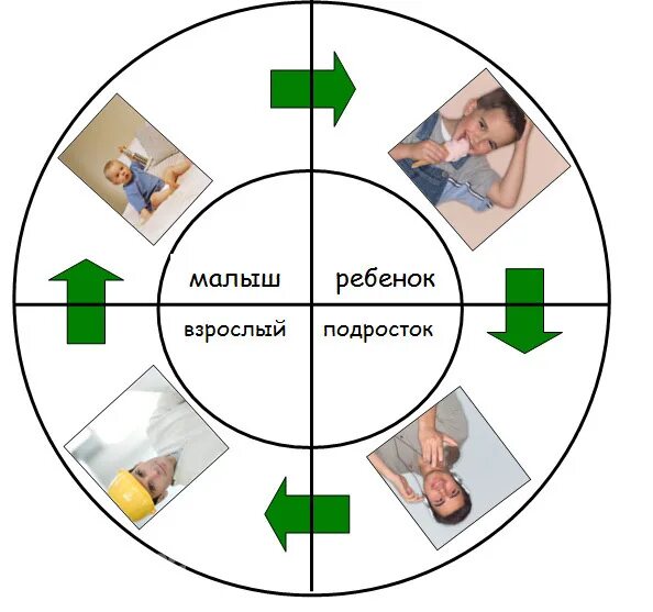 Жизненный цикл человека. Основные жизненные циклы человека. Жизненный цикл человека схема. Жизненный цикл человека для дошкольников.