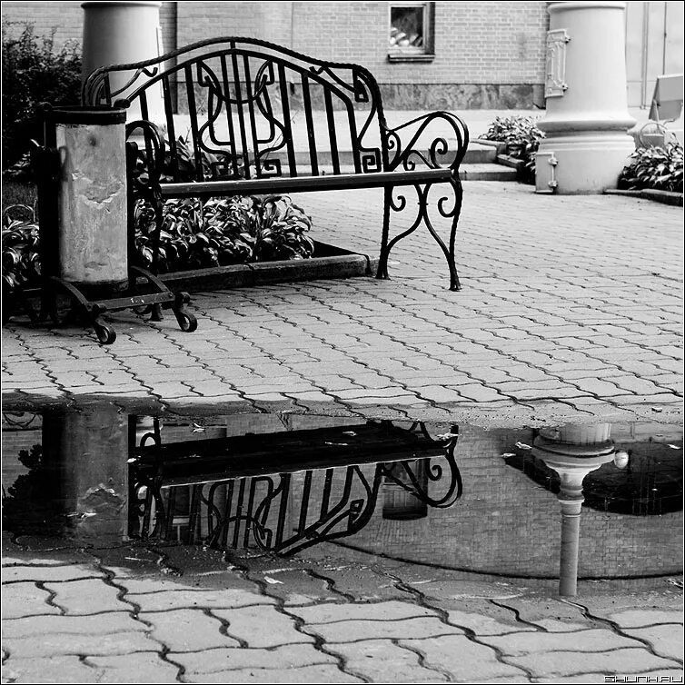 Эрмитаж скамейки. Эрмитаж скамья. Кресло в эрмитаже. Скамейка в екатерининском парке в питере. Эрмитаж скамейки.